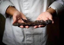 La algarroba, presenteen la carta de postres del restaurante Magoga,en Cartagena.